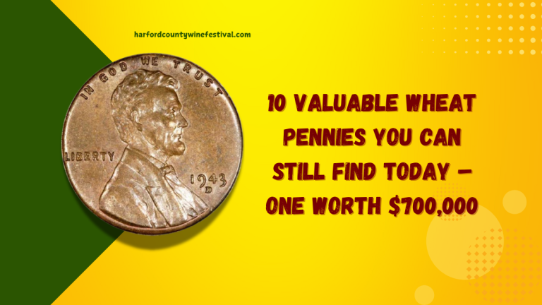 10 Valuable Wheat Pennies You Can Still Find Today – One Worth $700,000