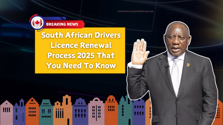 South African Drivers Licence Renewal Process 2025 That You Need To Know